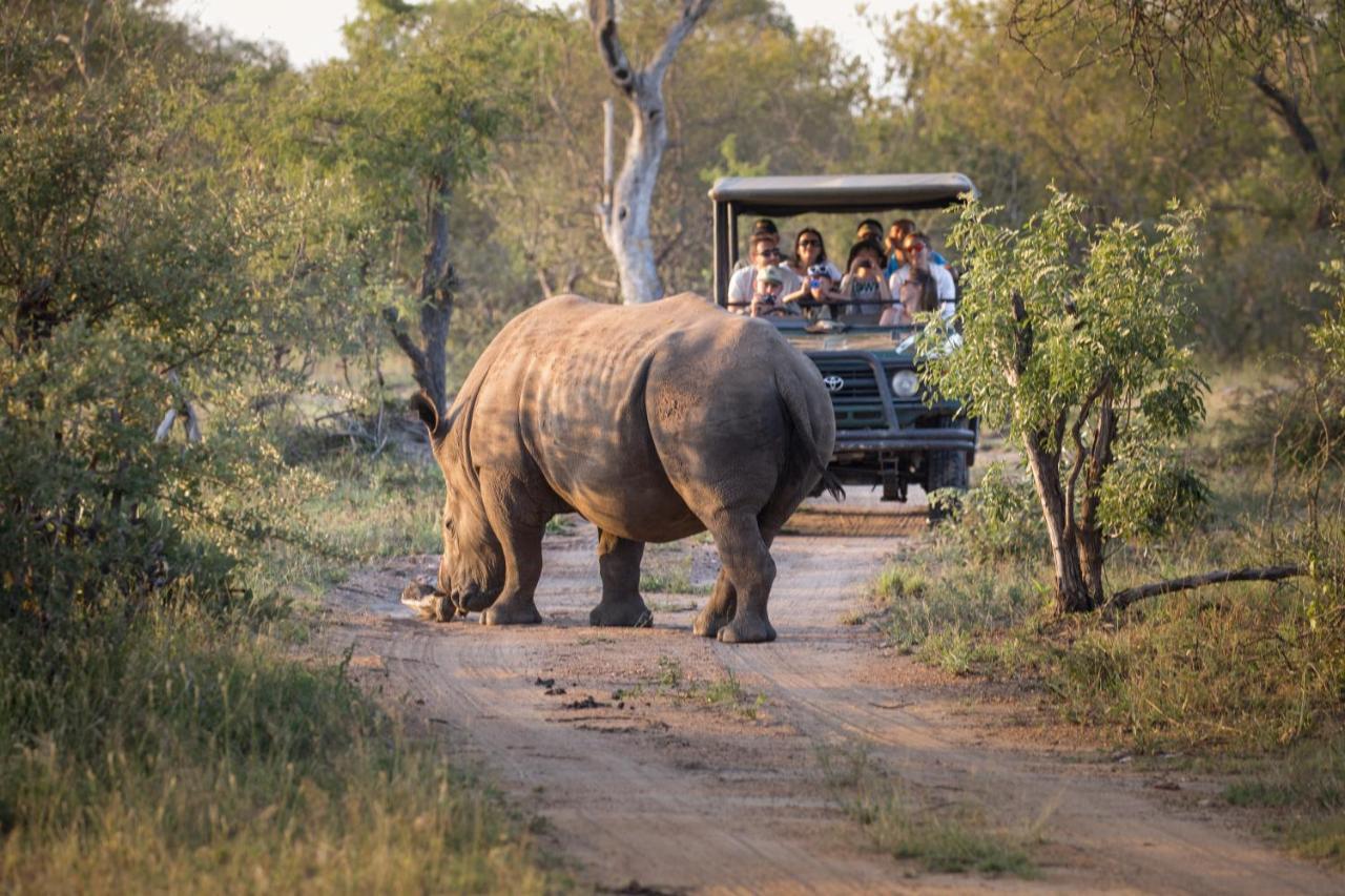 Tshukudu Game Lodge โฮดสปรูท ภายนอก รูปภาพ