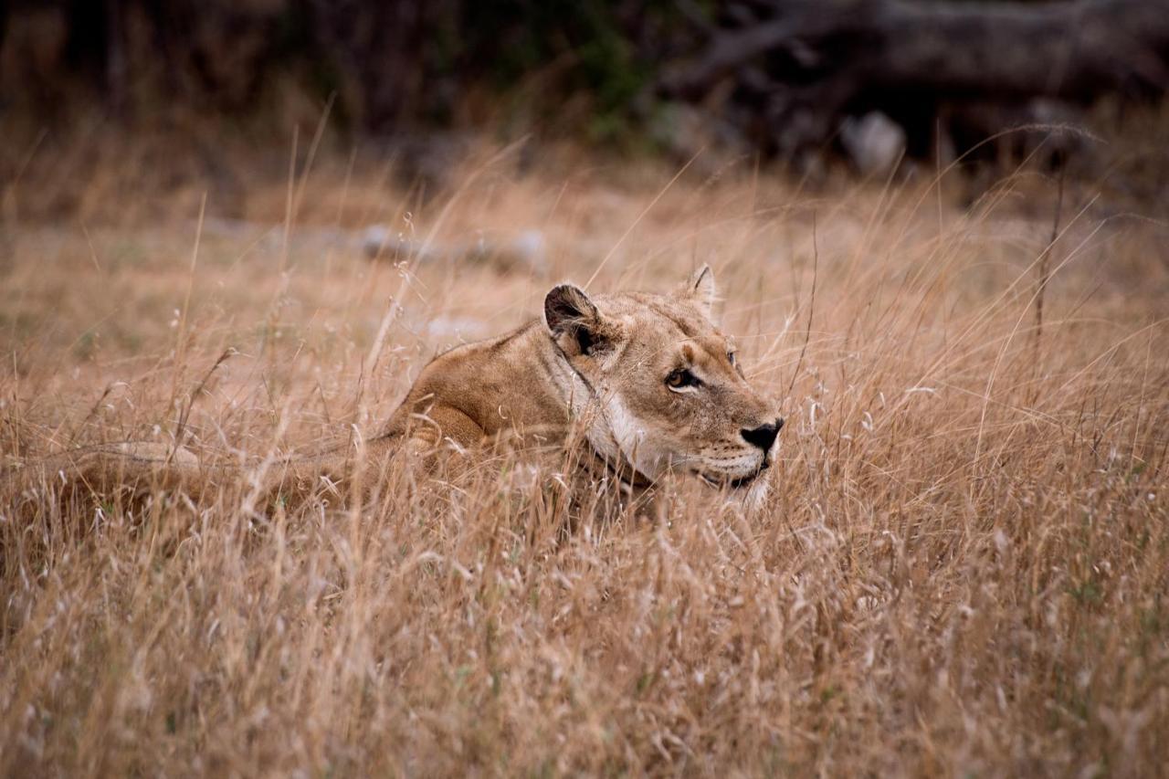 Tshukudu Game Lodge โฮดสปรูท ภายนอก รูปภาพ